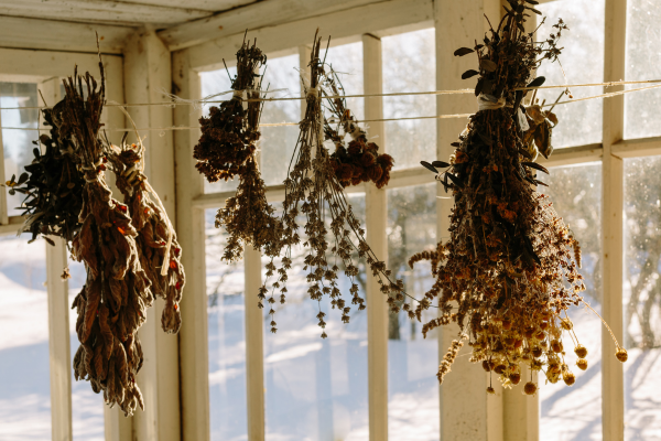 Preserving Fresh Flavors: A Guide to Drying Herbs at Home